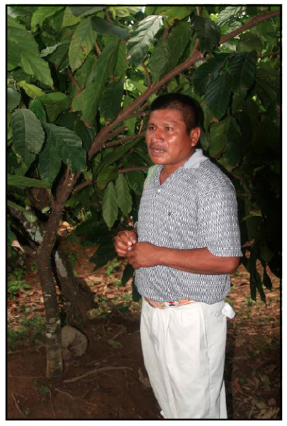 Miguel Choco, organic cacao farmer in Toledo, Belize
