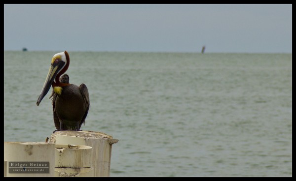 Ocean View Ocean View