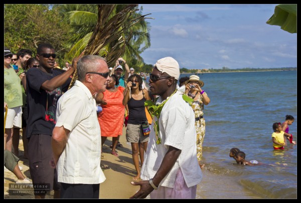 "Please allow us to settle here!"