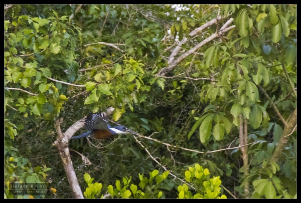 Orange Walk_5581.jpg Orange Walk 5581