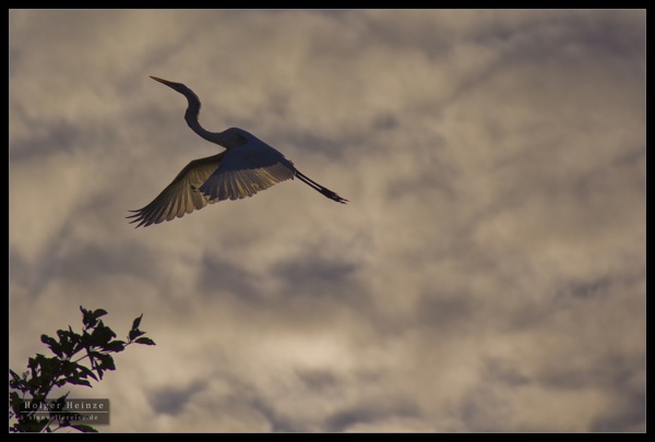 Orange Walk_5754.jpg Orange Walk 5754