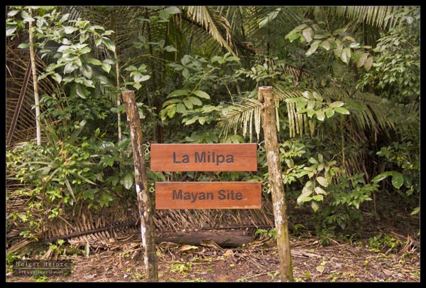 Orange Walk_6128.jpg Orange Walk 6128