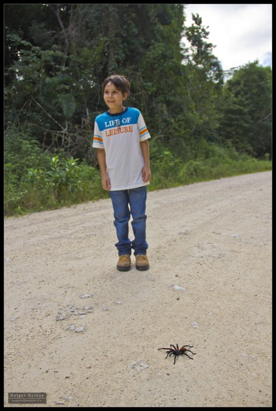 Orange Walk_6236.jpg Orange Walk 6236