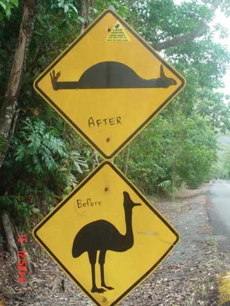 cape tribulation.JPG Cape tribulation