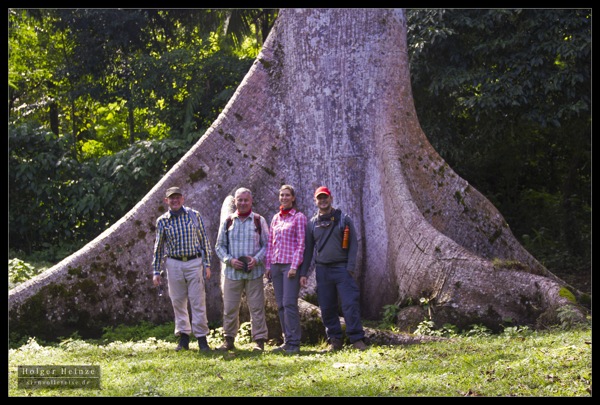 IMG_7137.jpg IMG 7137