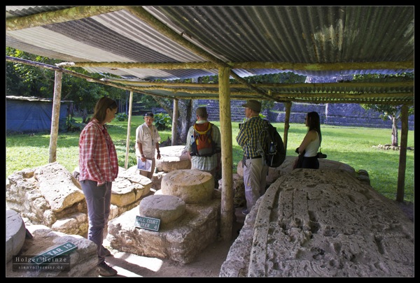 IMG_7381.jpg IMG 7381