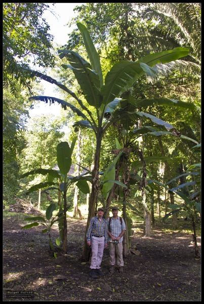 IMG_7398.jpg IMG 7398