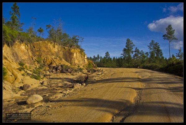 IMG_7533.jpg IMG 7533