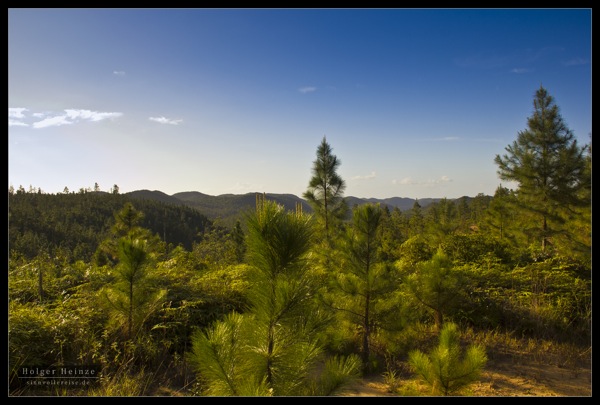 IMG_7535.jpg IMG 7535