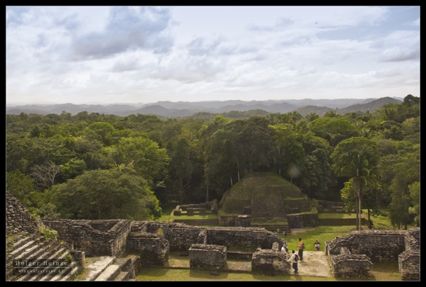 _MG_7245.jpg MG 7245